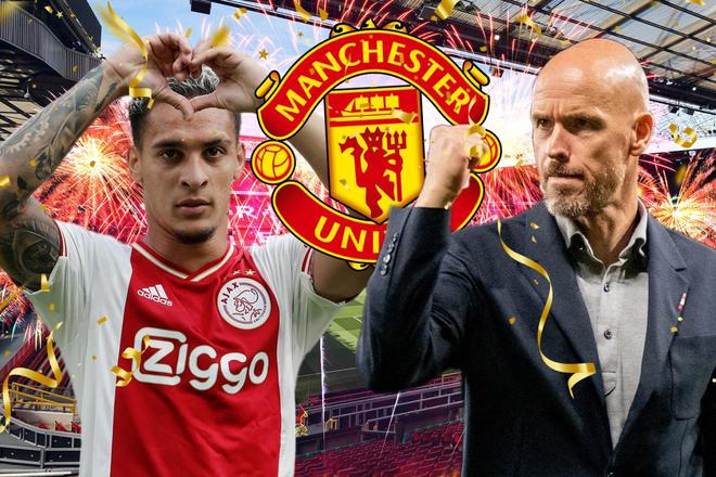 伯纳乌杯的 伯纳乌杯的